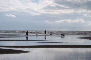 Dog walking on Camber Sands