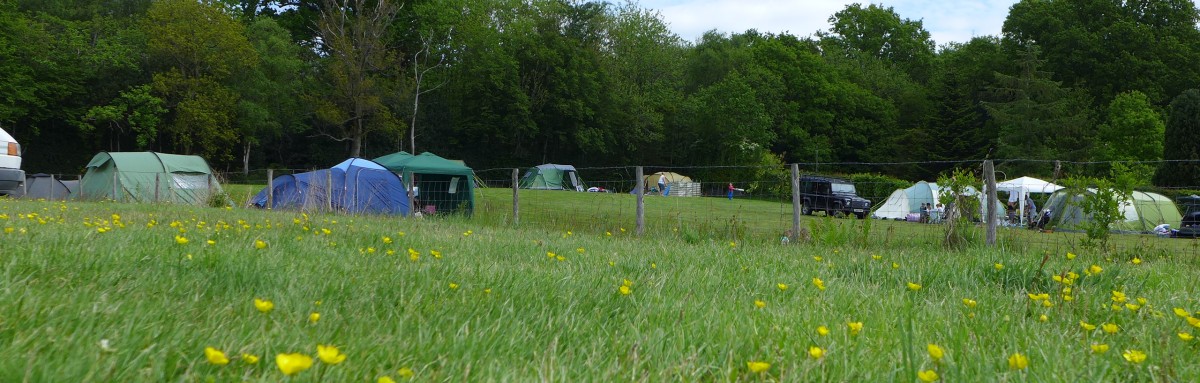 Campsite in spring